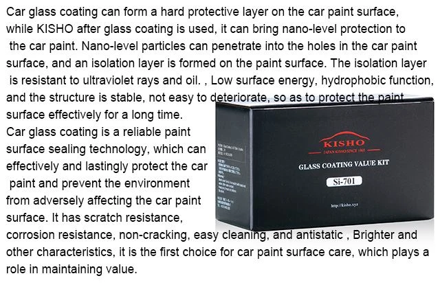 Benz Full Body Coating6 Benz Full Body Coating6